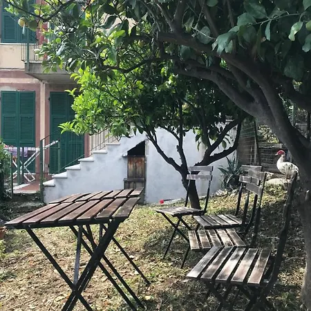 Cinzia Stazione Corniglia