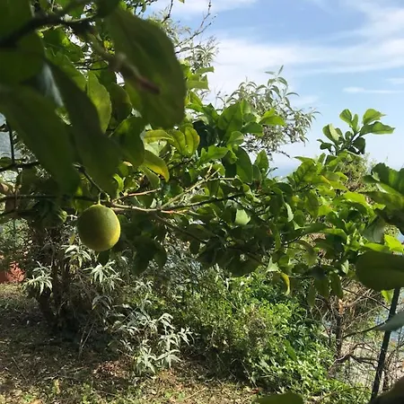 Lejlighed Cinzia Stazione Corniglia